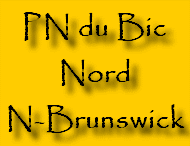New Brunswick 1