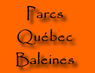 Parcs, Québec, Baleines