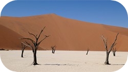 Dsert du Namib