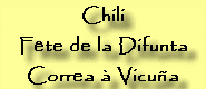 Chili : Fête de la Difunta Correa à Vicuña