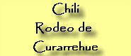 Chili : Rodeo de Curarrehue