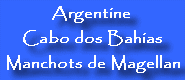 Argentine / Cabo dos Bahias : Manchots de Magellan