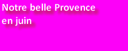 Notre belle Provence